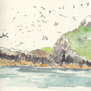 guano-rock-skomer-crop